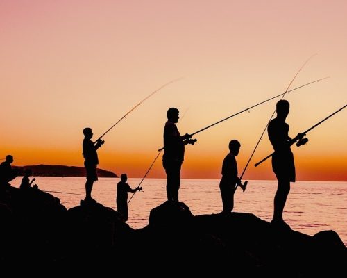 För den fiskeintresserade